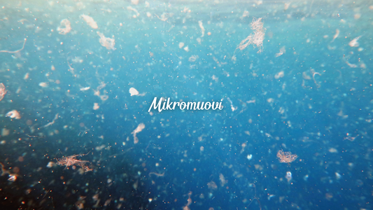 Mikromuovi arjessa – pieni asia, josta puhutaan koko ajan enemmän