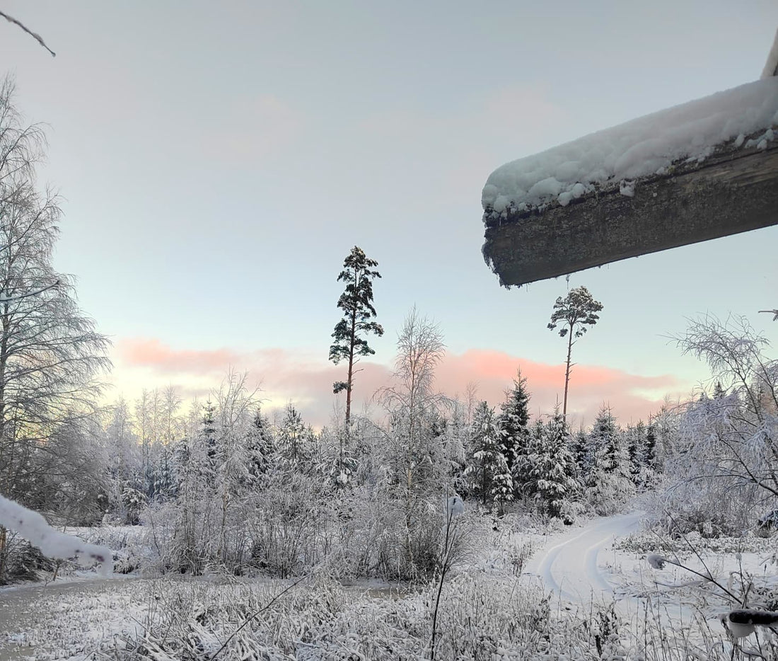 Talven rauha saapuu – jouluun valmistautumisen lempeä tahti